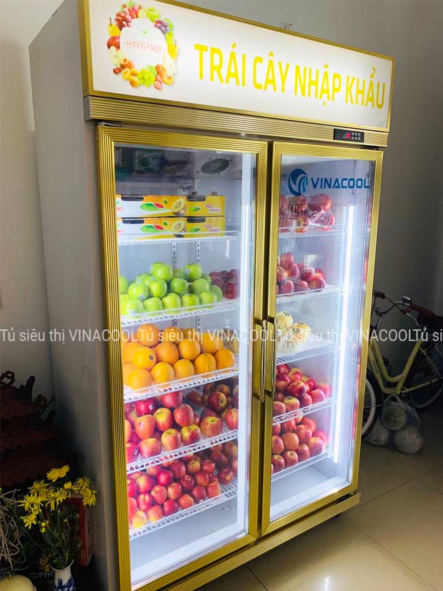 tủ mát trưng bày trái cây 2 cánh kính vàng