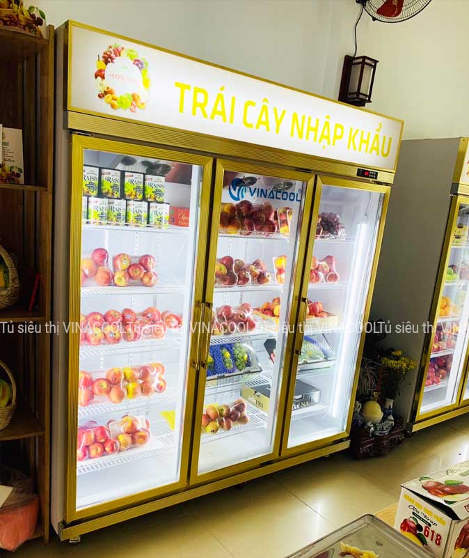 tủ mát 3 cánh bảo quản trái cây vàng