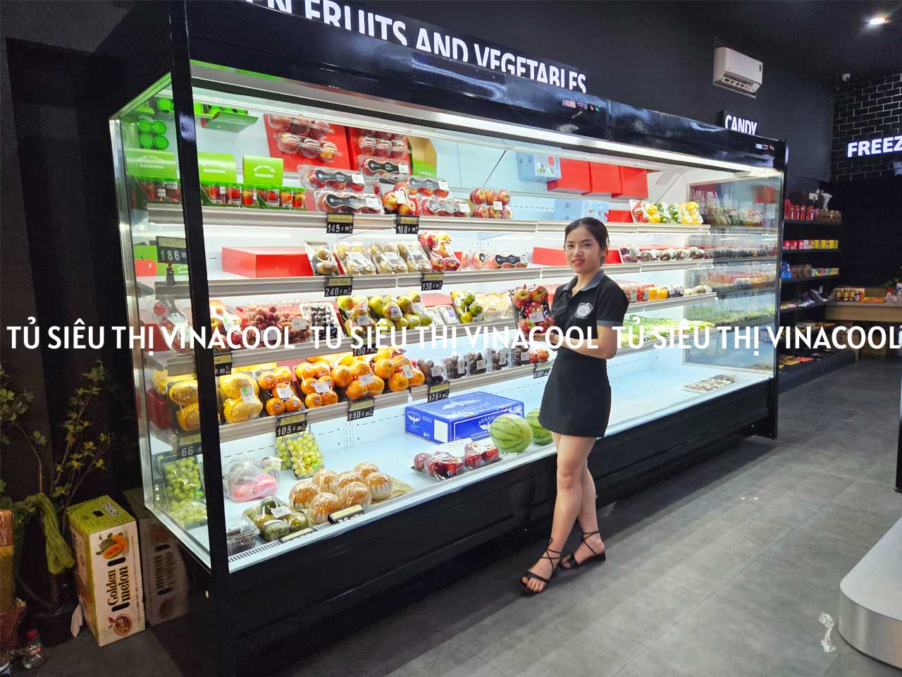 tủ mát siêu thị dung tích lớn